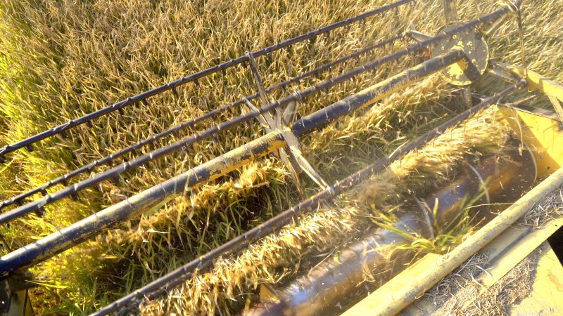 Extraction Equipment