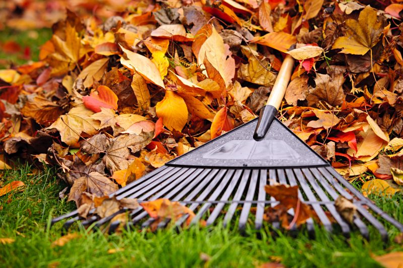Autumn Lawn Care Tools