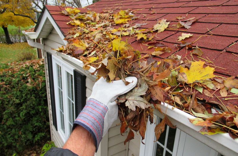 Preventative Leaf Management