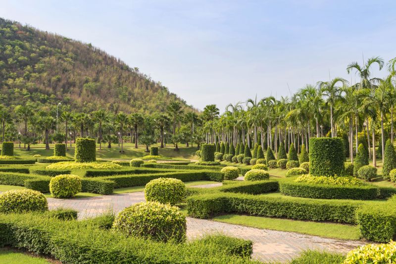 Shrubs Near Entryway