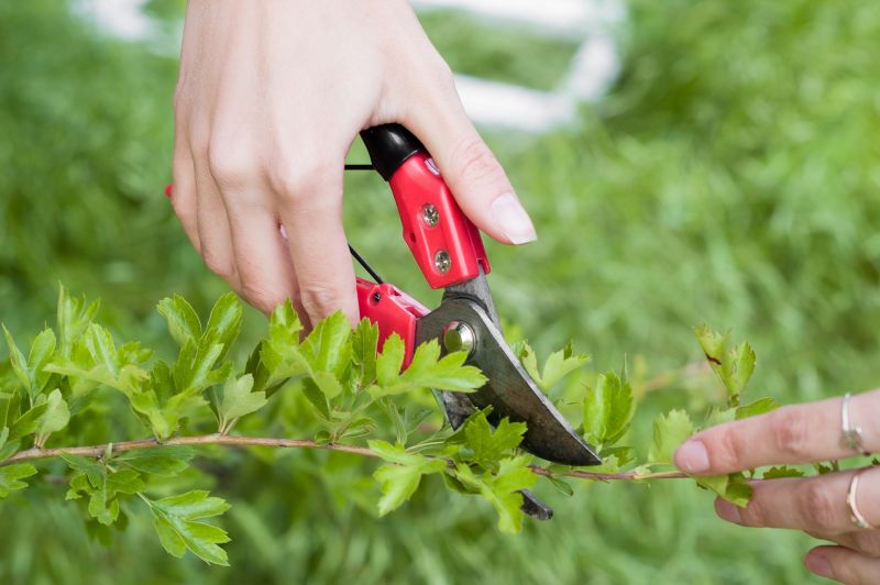 Pruning Tools in Use