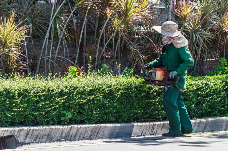 Hedge Trimming in a Garden